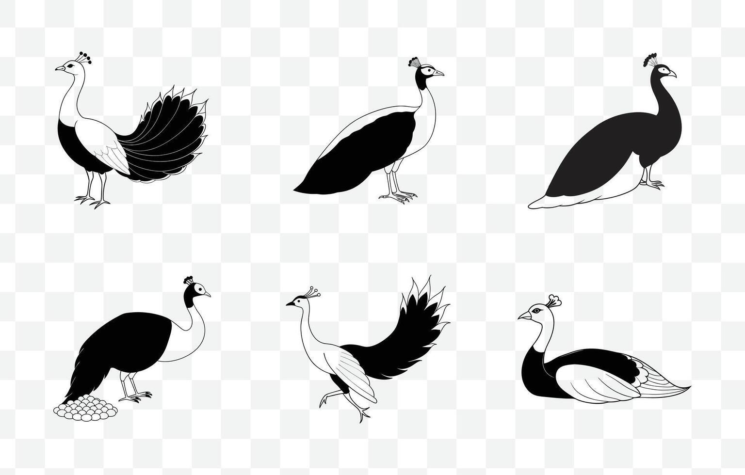 Print Peafowl Line Art Set with Detailed Illustrations for Artistic and Design Projects vector