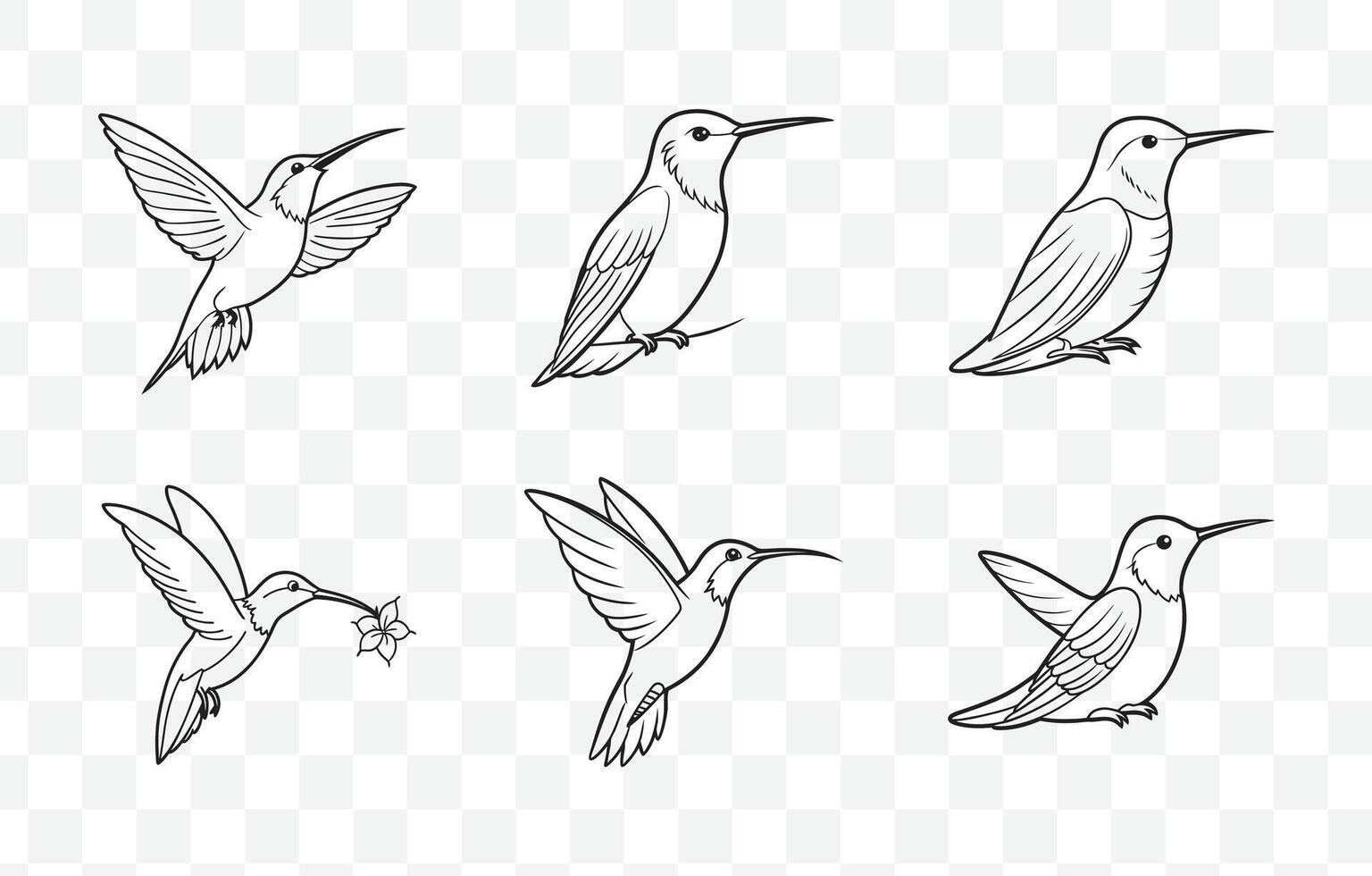 Print Elegant and Intricate Hummingbird Line Art Set for Creative Projects and Design Use vector