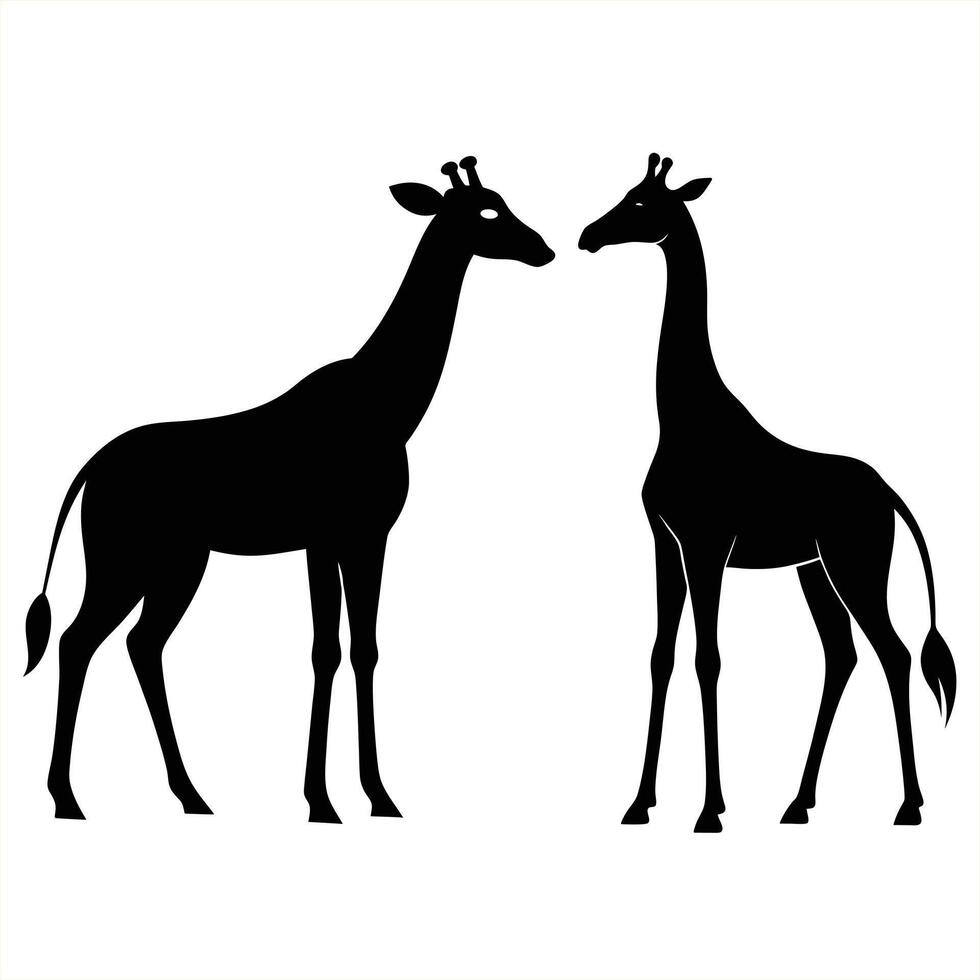 Giraffe silhouette. Giraffe black icon on white background. Giraffe Silhouette illustrations. Group of many giraffe in different poses. Giraffe line Art illustration. vector