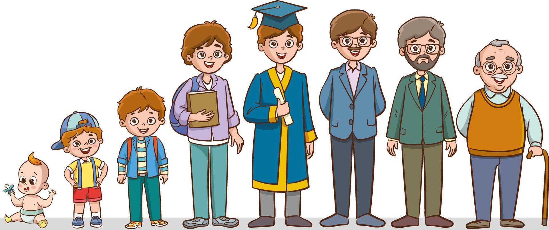 Male life cycle flat illustration. Male human aging stages, man growth stages set. Child growing up from little kid to old cartoon character. Infancy, childhood, adulthood and old age. vector