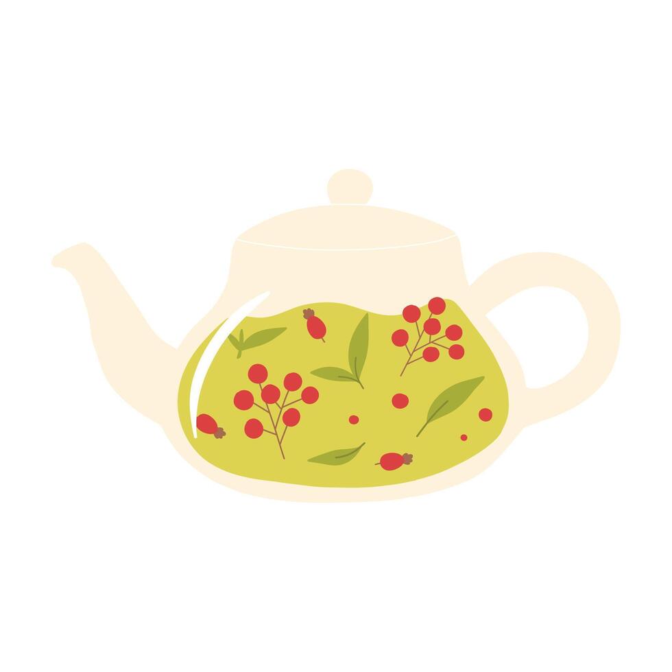 Teapot with green tea. Herbal tea in a glass teapot. illustration. Isolated illustration on a white background. Flat style. vector