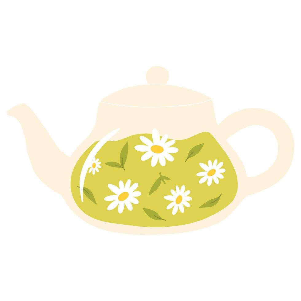 Teapot with green tea. Herbal tea in a glass teapot. illustration. Isolated illustration on a white background. Flat style. vector