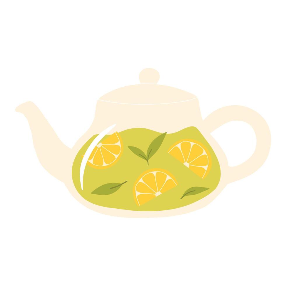 Teapot with green tea. Herbal tea in a glass teapot. illustration. Isolated illustration on a white background. Flat style. vector