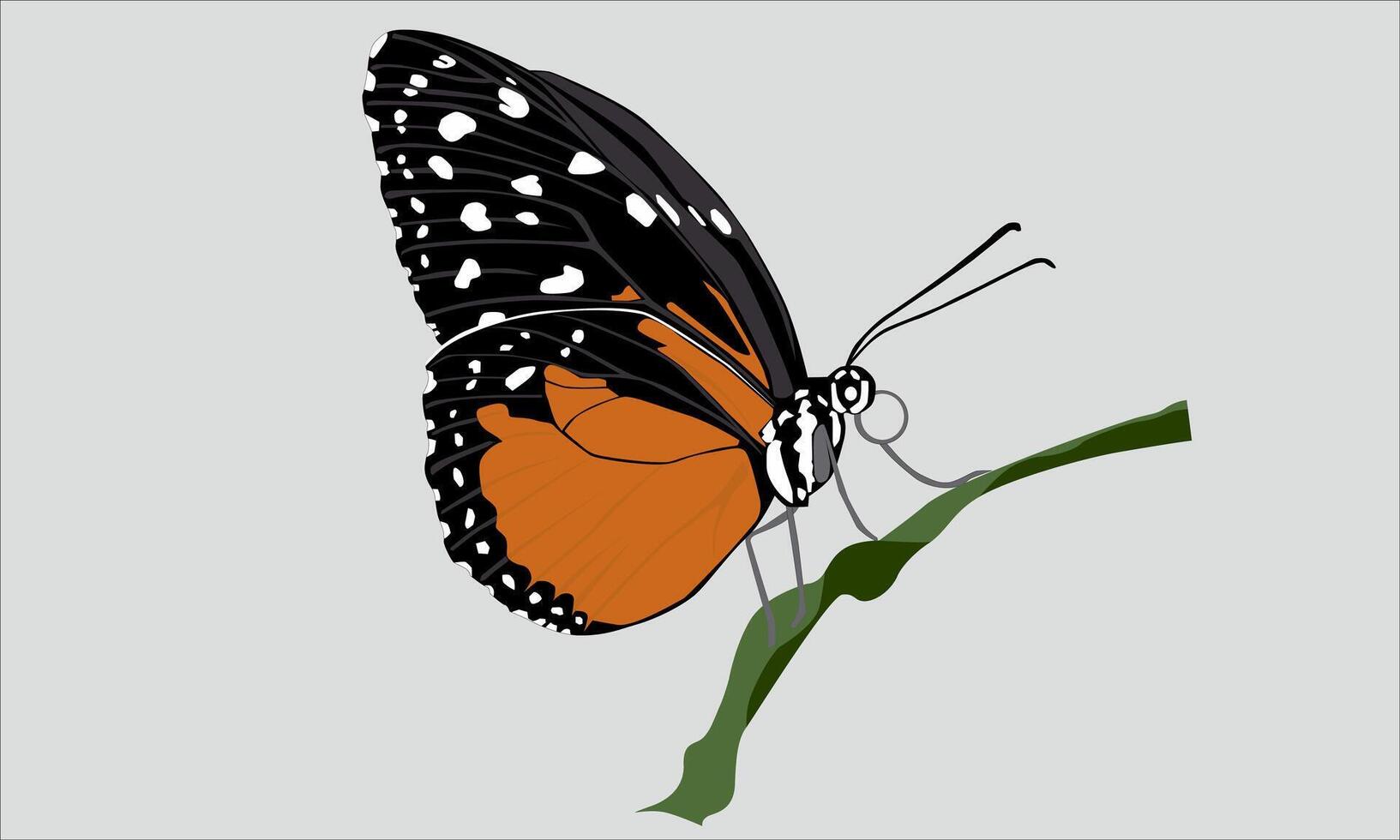 illustration of a brown and black butterfly perched on a green leaf vector