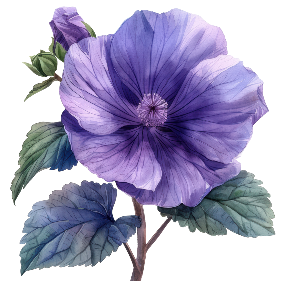 watercolor blooming purple malva flower branch with green leaves illustration. Ai-Generated png