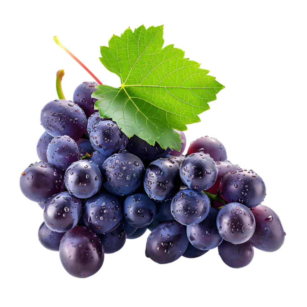 Grape cluster with leaf isolated on a transparent background png