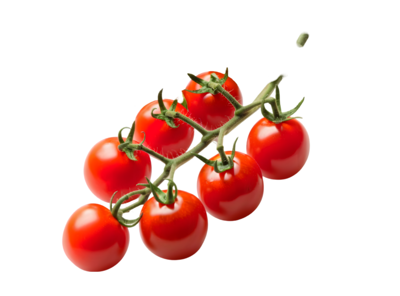 Cherry tomatoes on vine isolated on a transparent background png