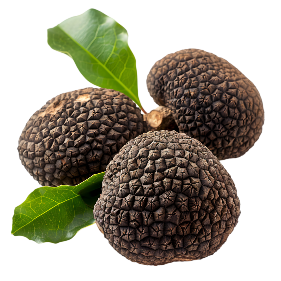 Black truffles isolated on a transparent background png
