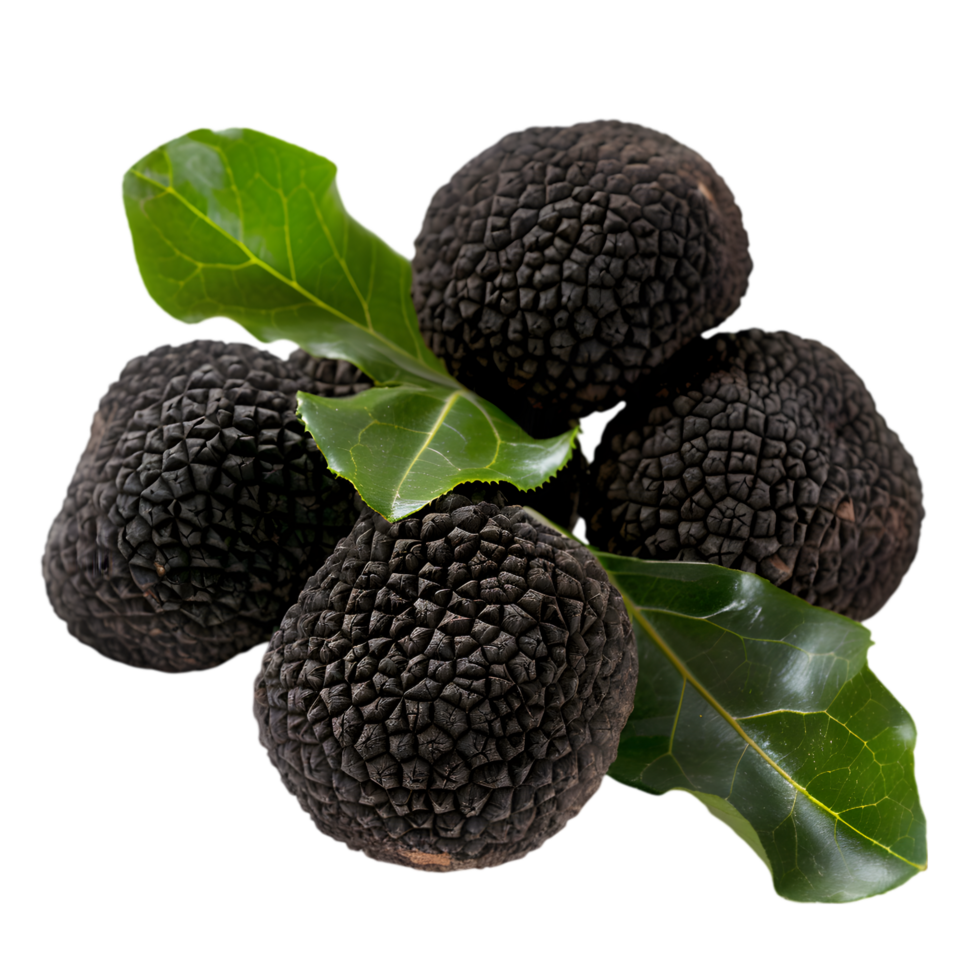 Black truffles with leaves isolated on a transparent background png