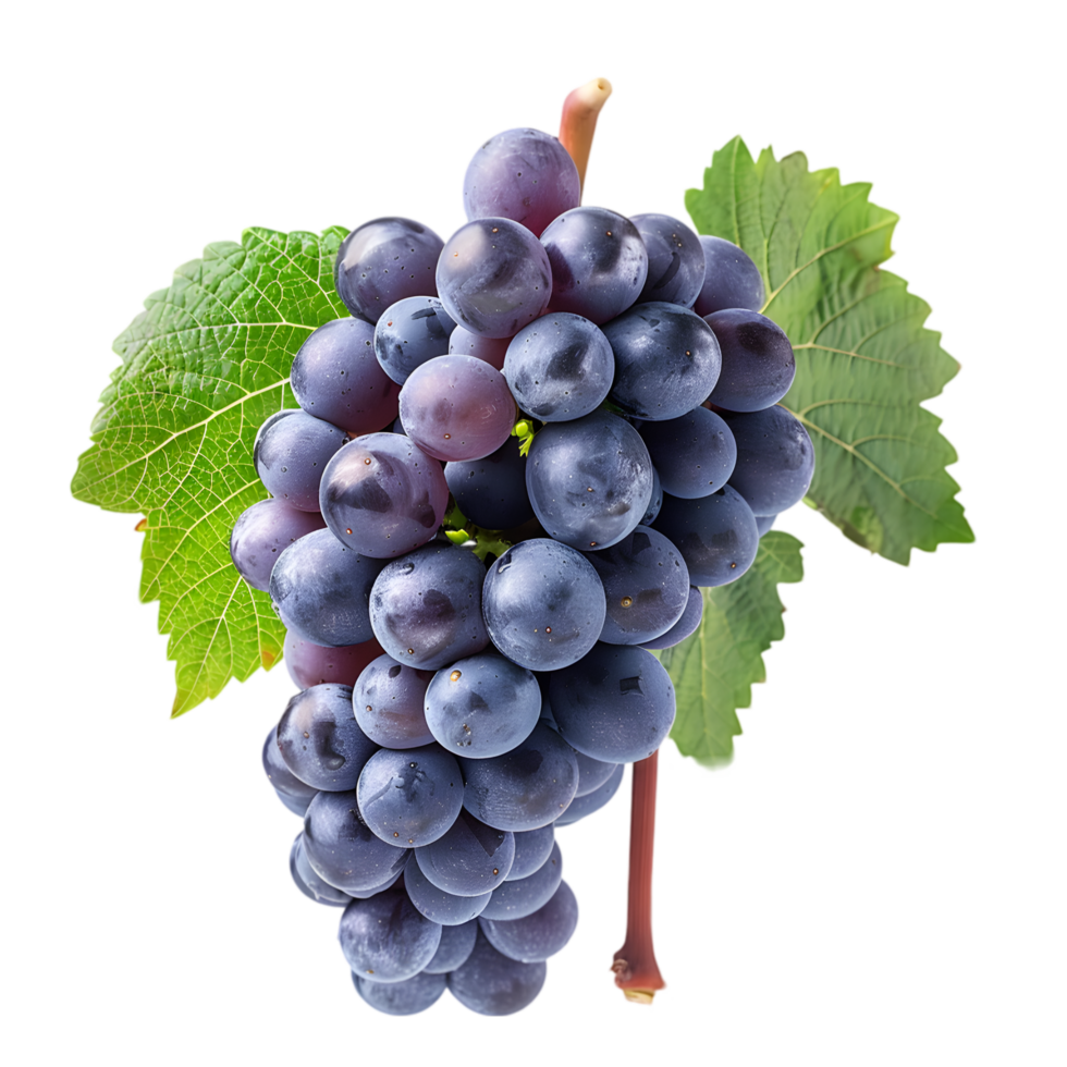 Grape cluster with leaf isolated on a transparent background png