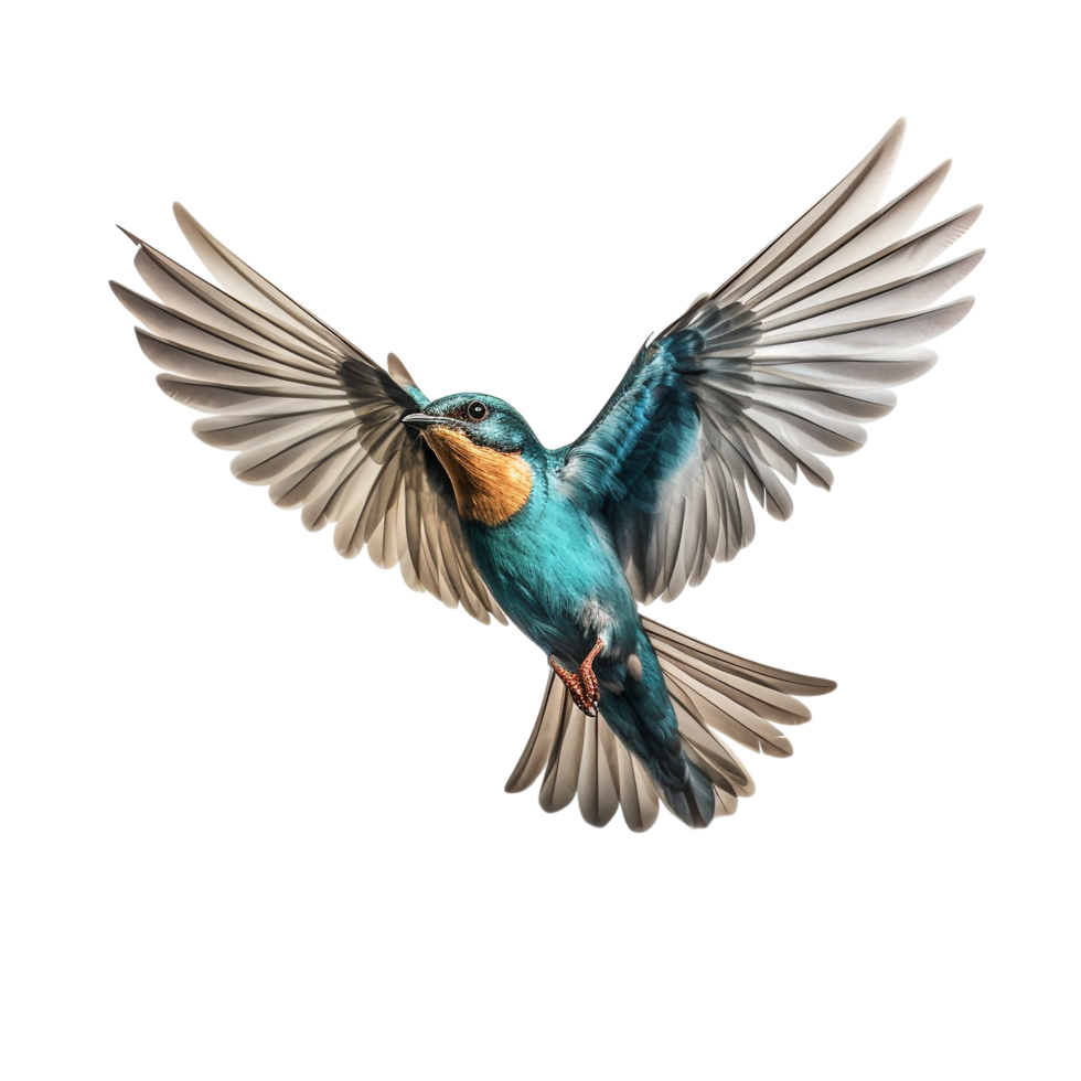 flying bird isolated against transparent background png