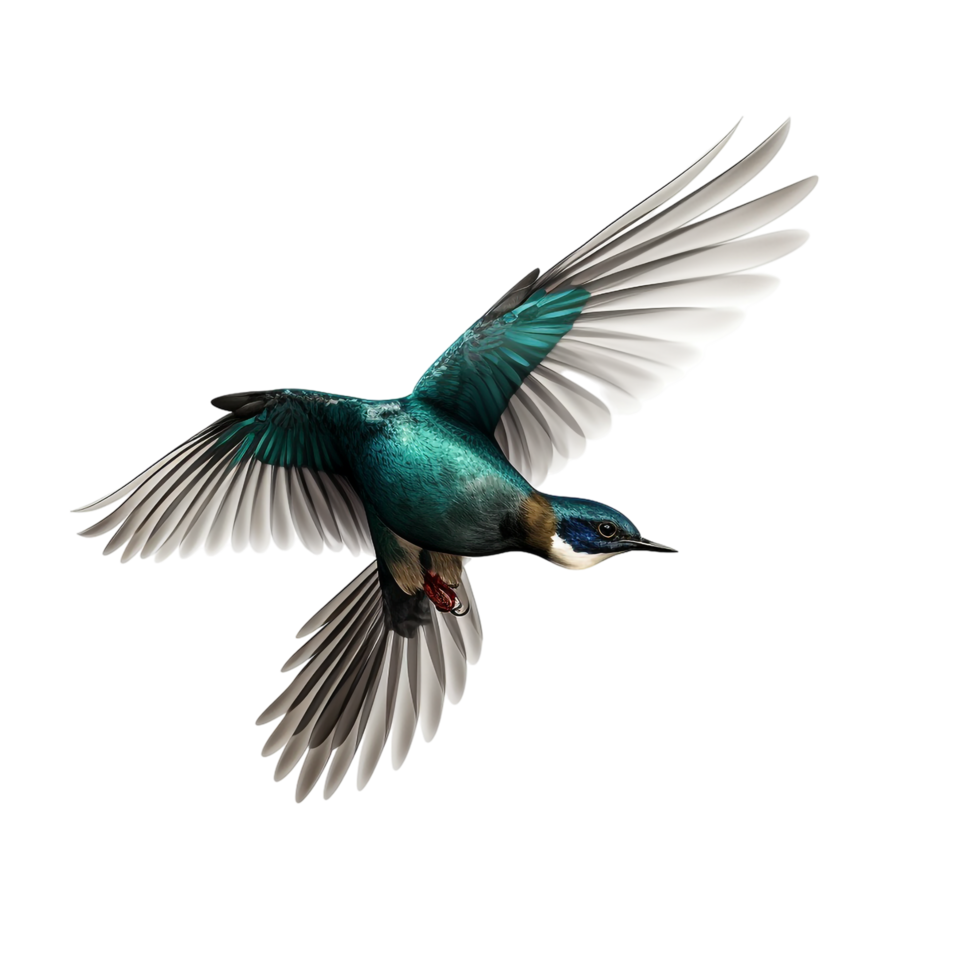flying bird isolated against transparent background png