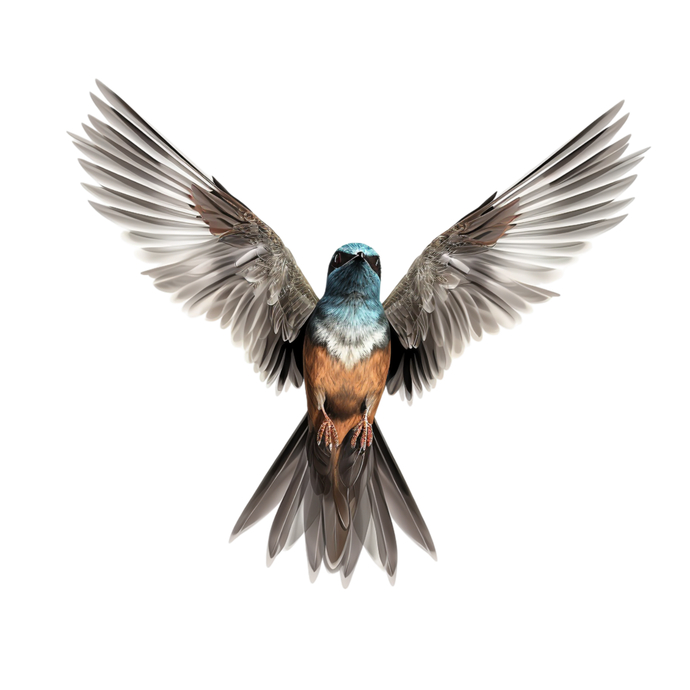 flying bird isolated against transparent background png