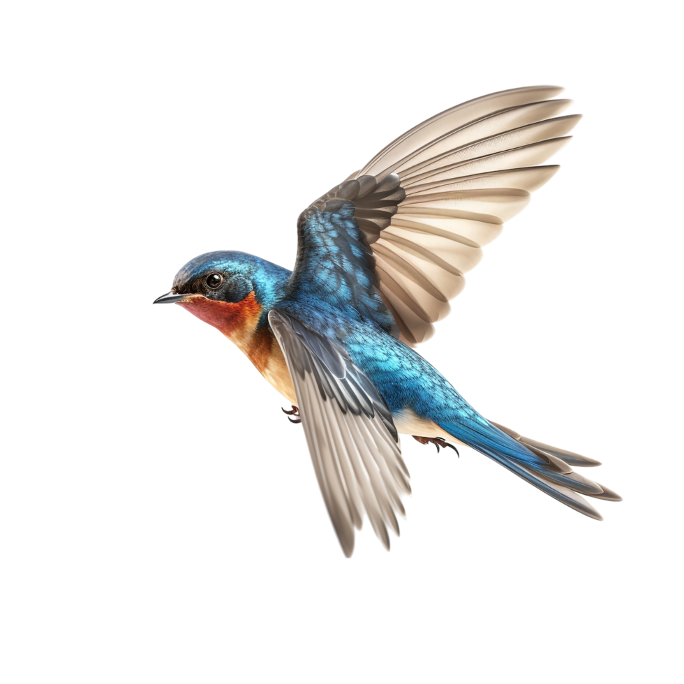 flying bird isolated against transparent background png