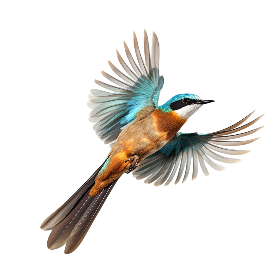 flying bird isolated against transparent background png
