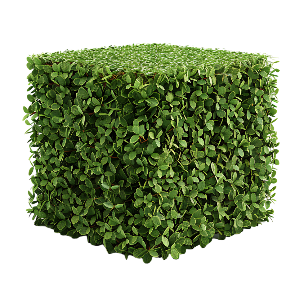 A solitary cube shaped topiary png