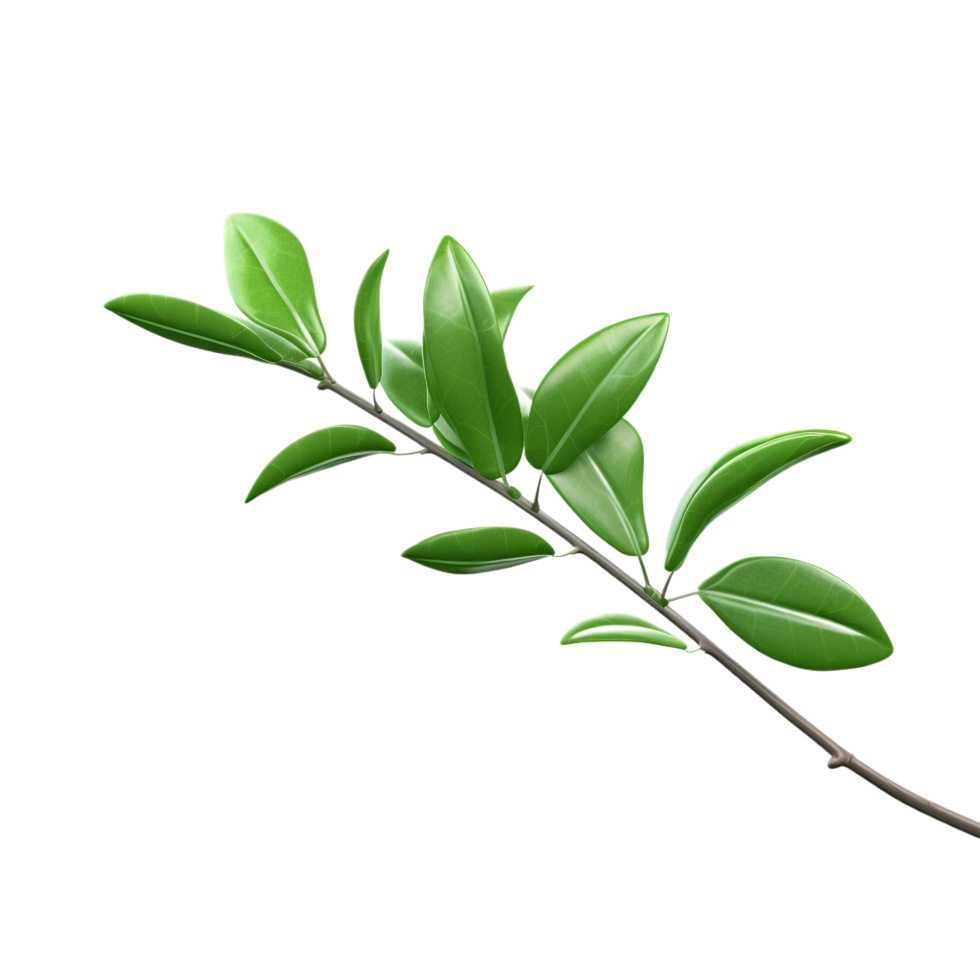 A branch of a plant with green leaves on transparent background png
