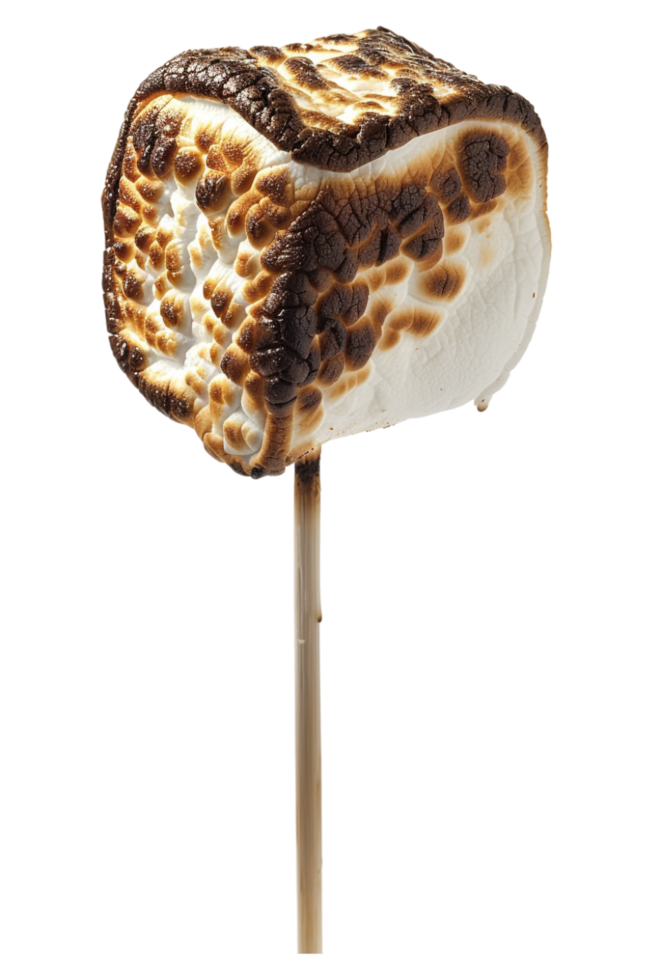 Roasted marshmallow on stick alone against transparent background png