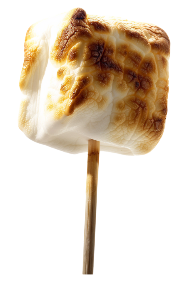 Roasted marshmallow on stick alone against transparent background png