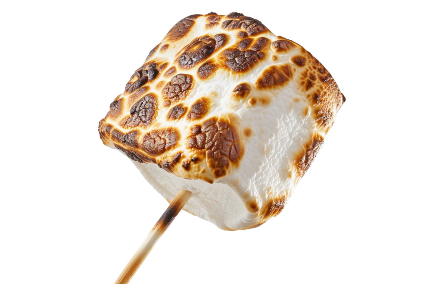 Roasted marshmallow on stick alone against transparent background png
