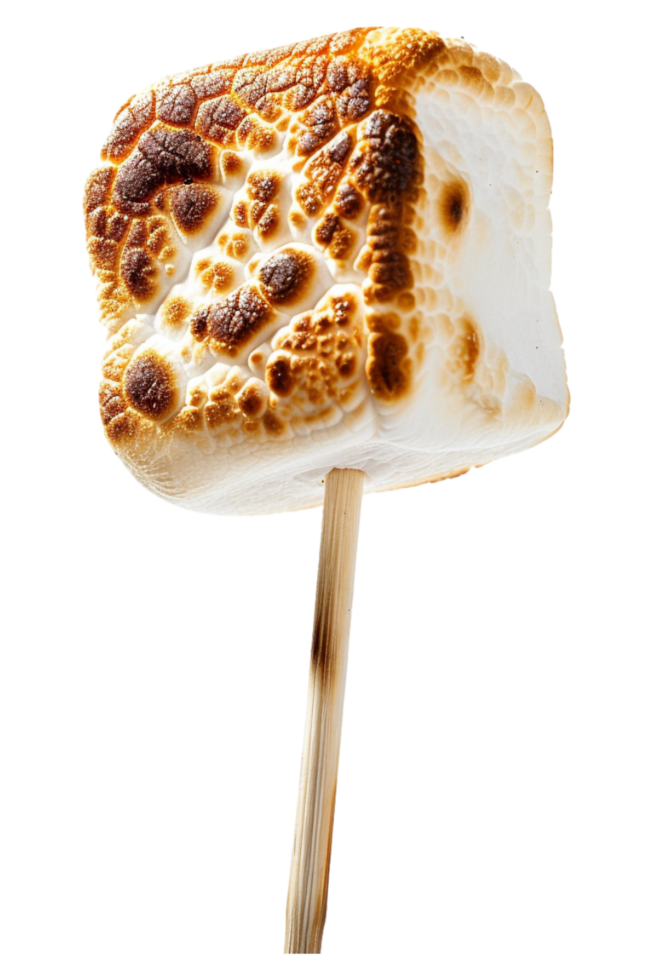 Roasted marshmallow on stick alone against transparent background png