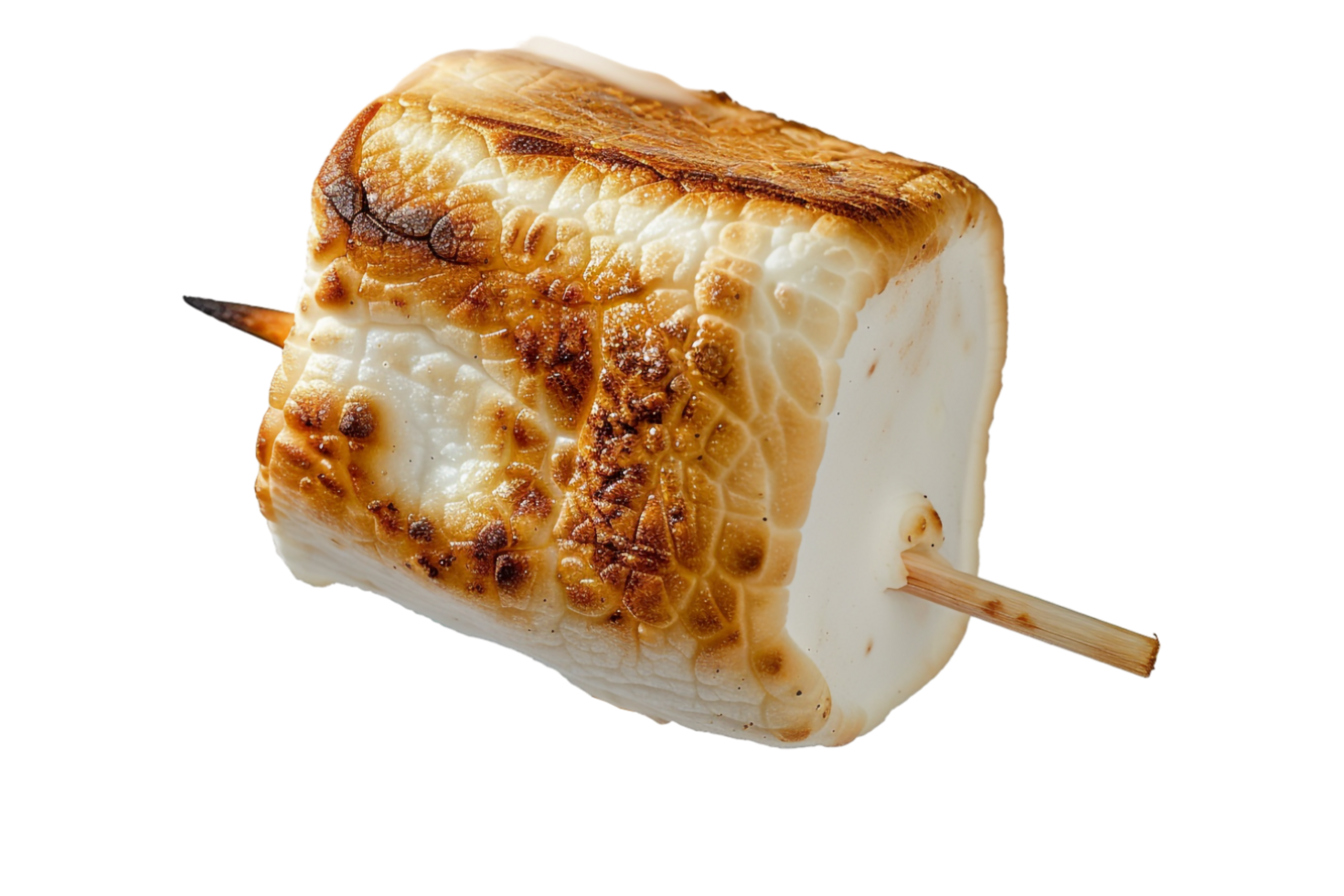 Roasted marshmallow on stick alone against transparent background png