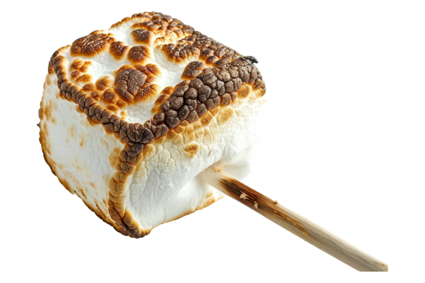 Roasted marshmallow on stick alone against transparent background png