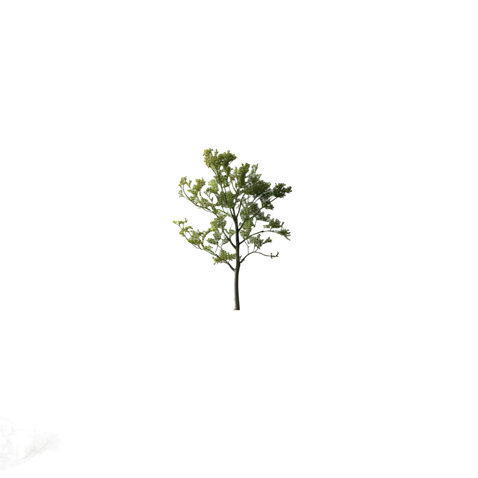A small tree holding a human hand on transparent background png
