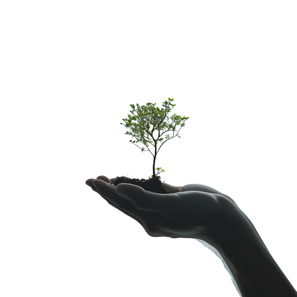 A small tree holding a human hand on transparent background png