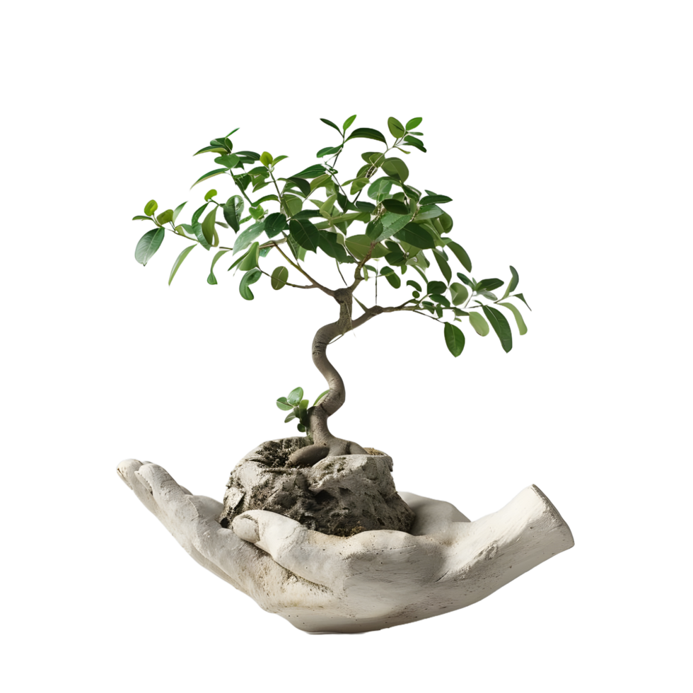 A small tree holding a human hand on transparent background png