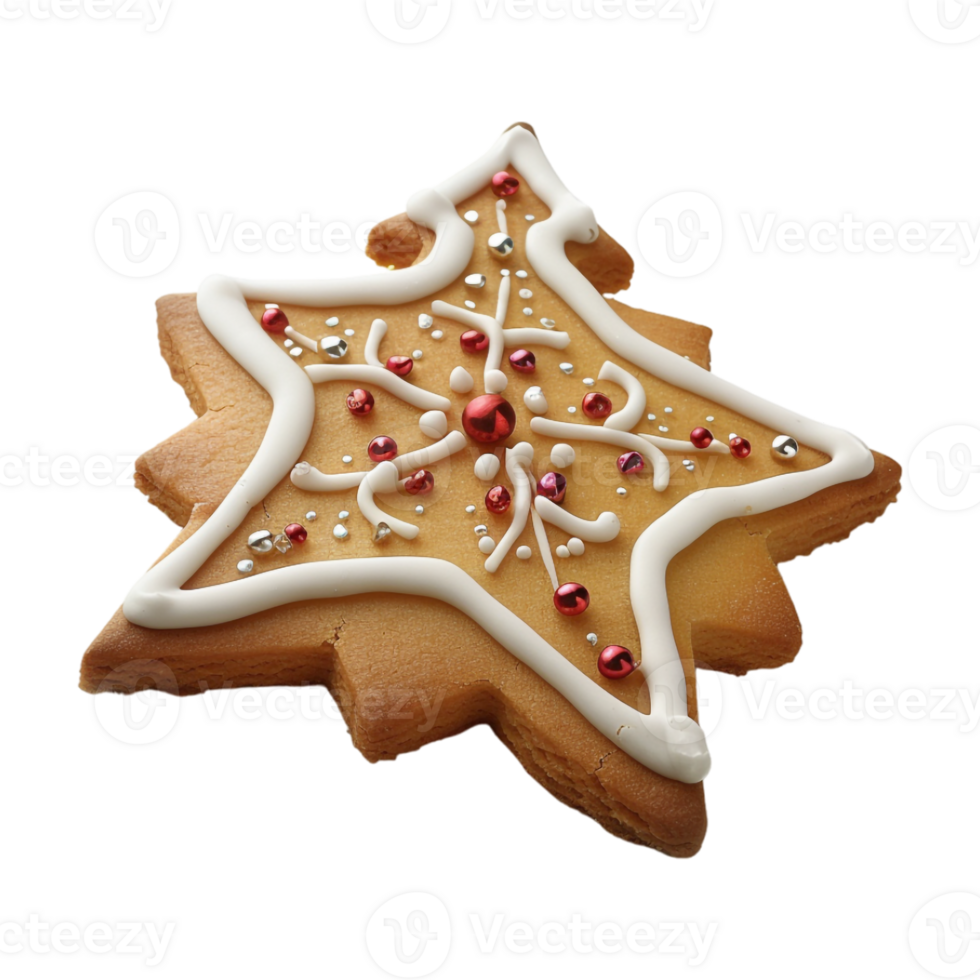 Christmas Ginger Biscuit on Transparent Background png