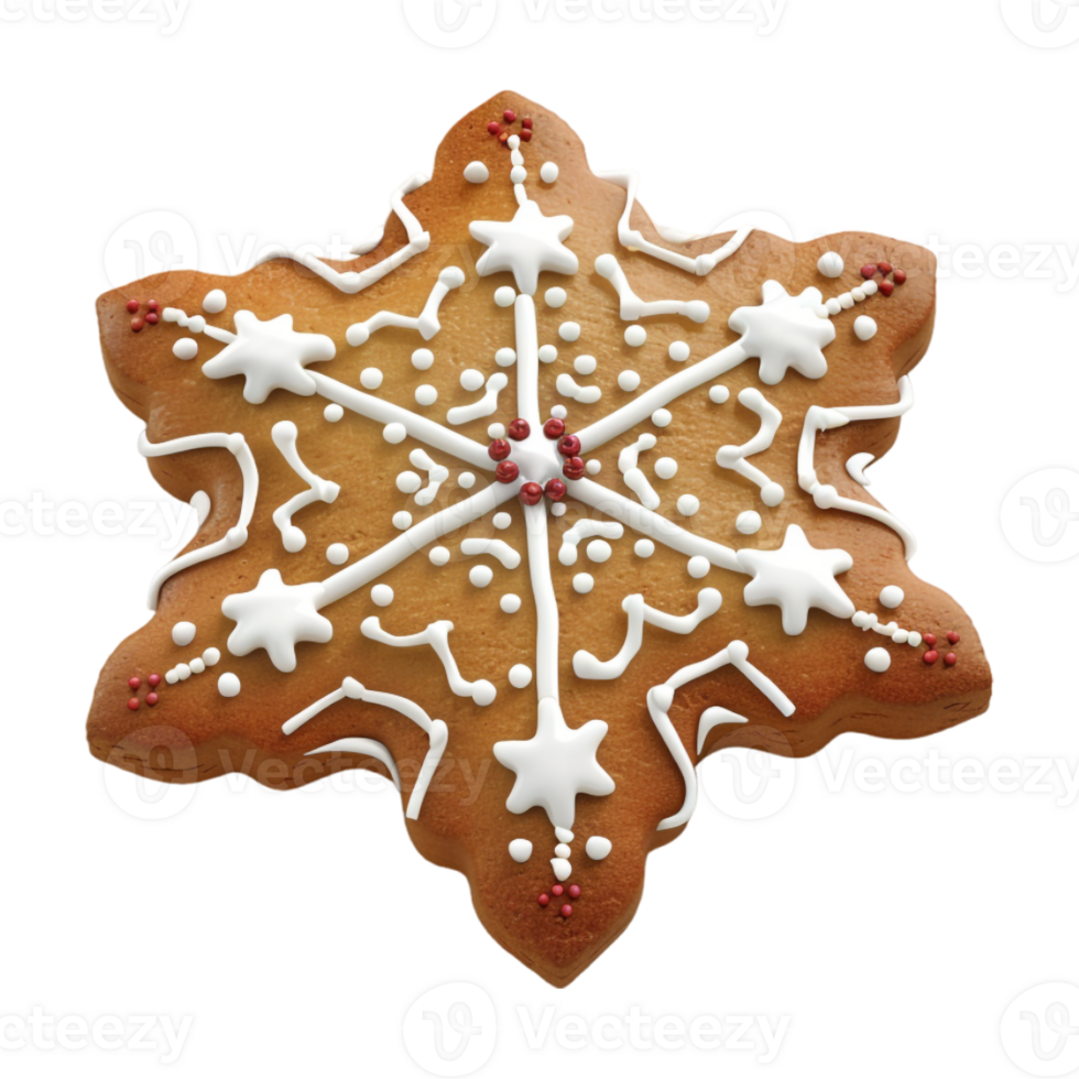 Christmas Ginger Biscuit on Transparent Background png