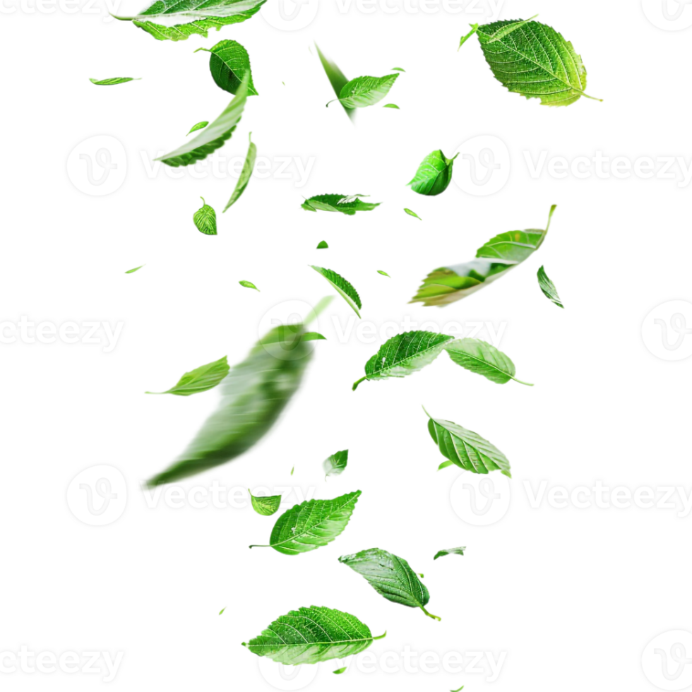 Leaves Flying in Air on Transparent Background png