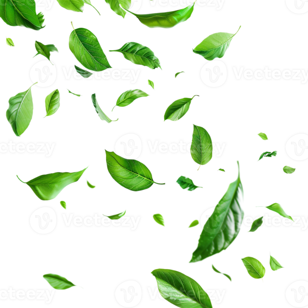 Leaves Flying in Air on Transparent Background png