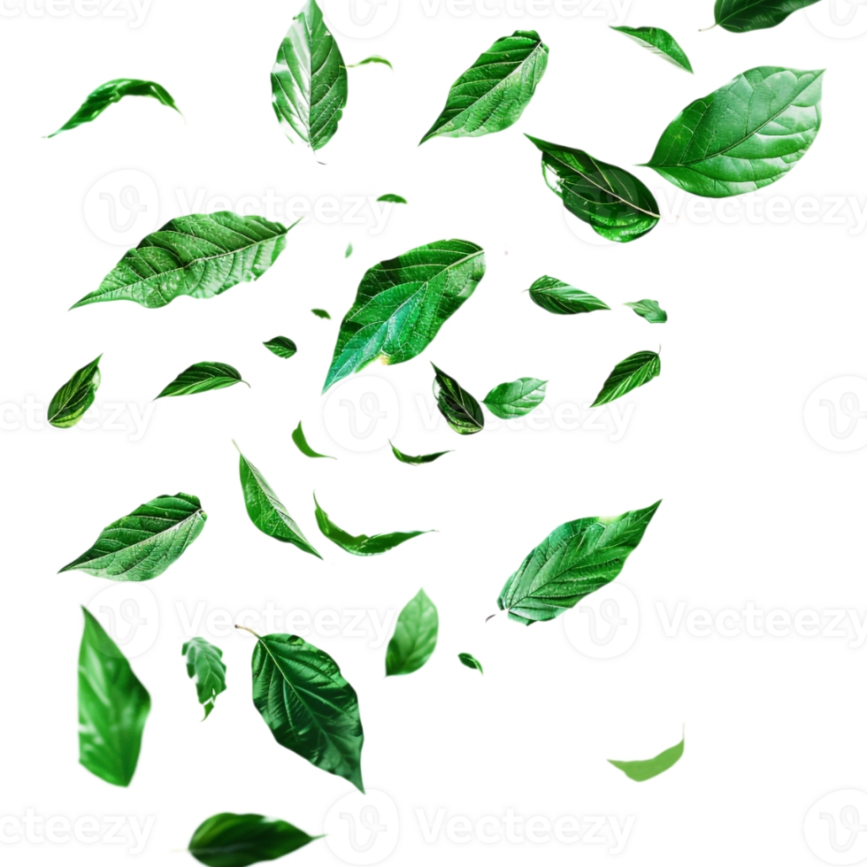 Leaves Flying in Air on Transparent Background png
