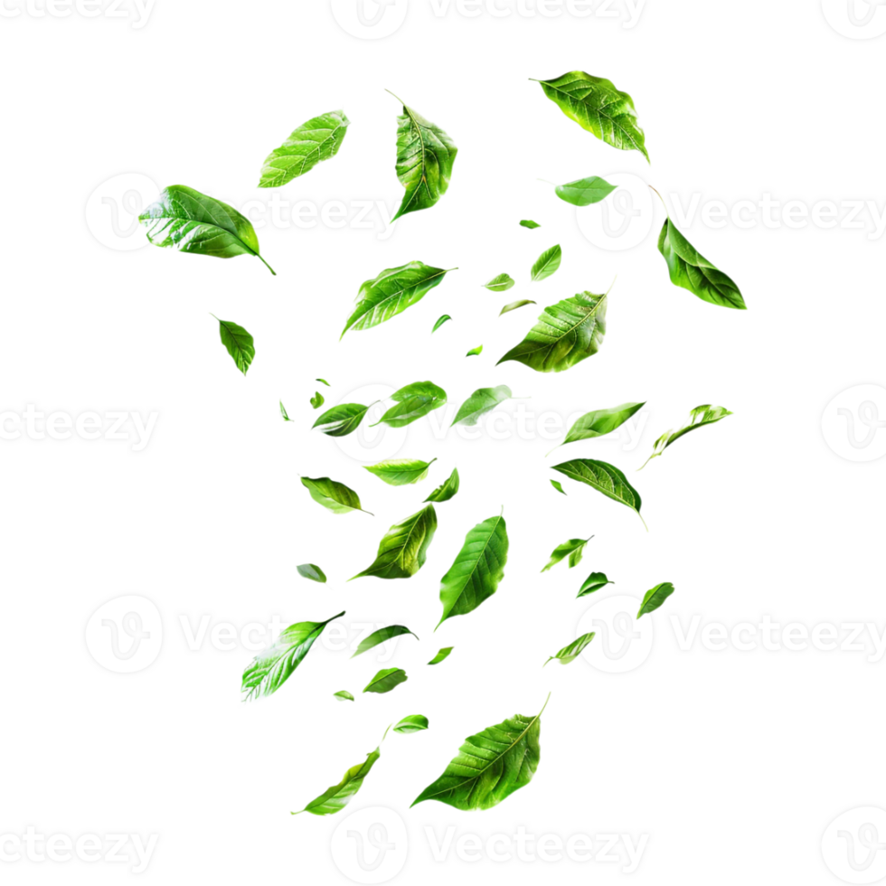 Leaves Flying in Air on Transparent Background png