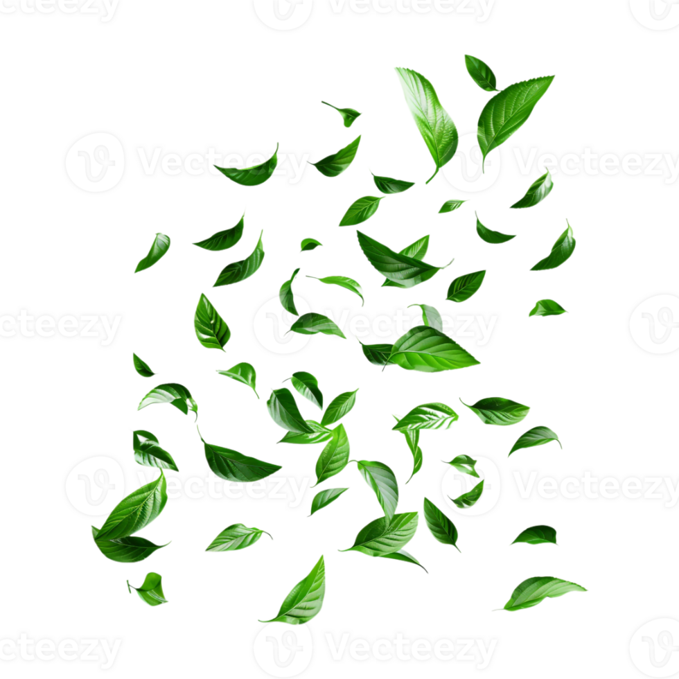 Leaves Flying in Air on Transparent Background png