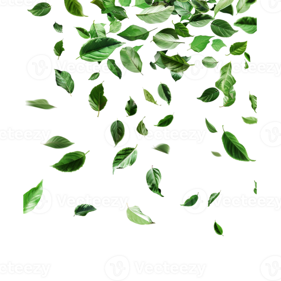 Leaves Flying in Air on Transparent Background png