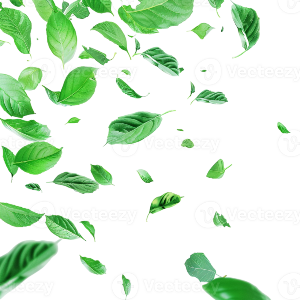 Leaves Flying in Air on Transparent Background png