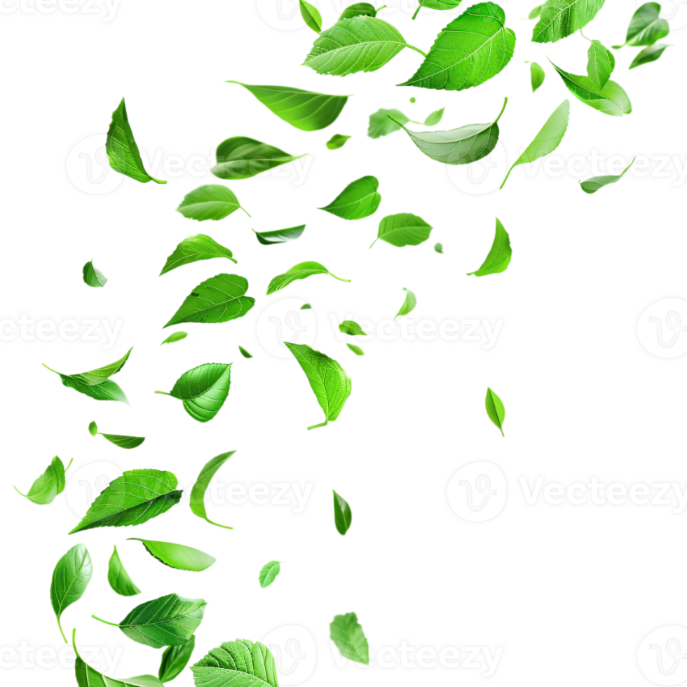 Leaves Flying in Air on Transparent Background png