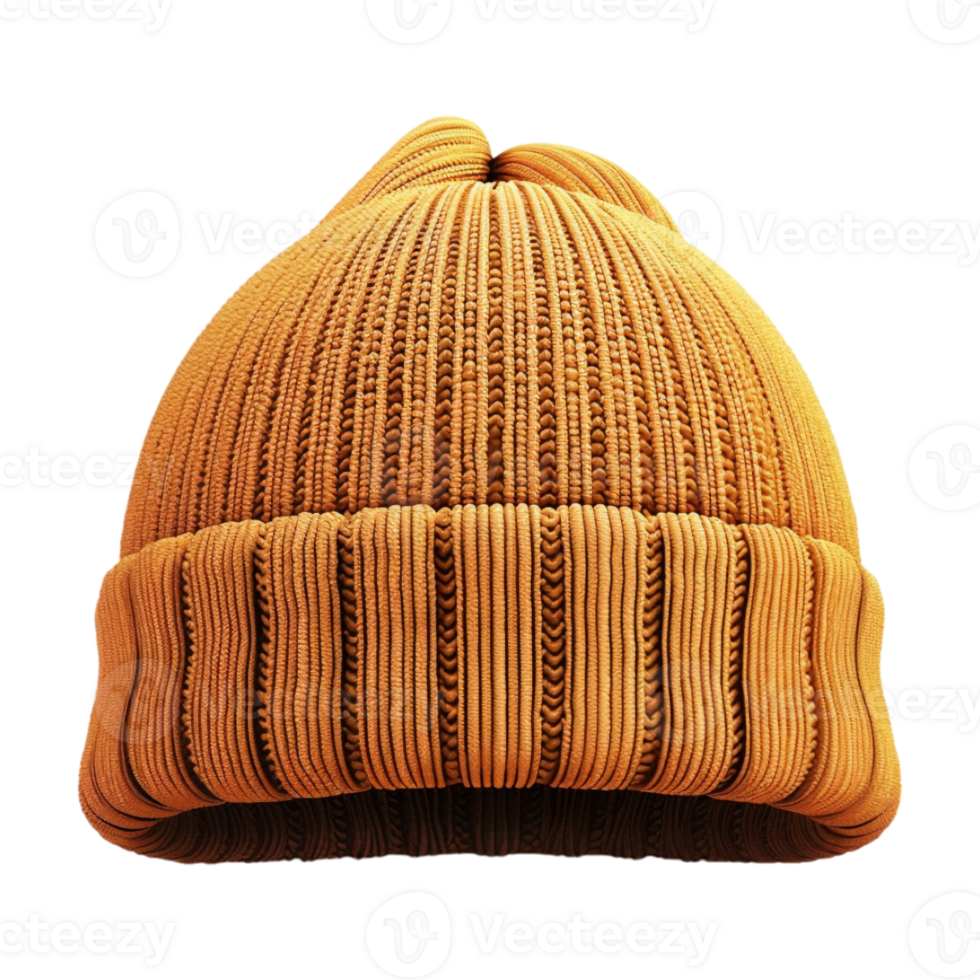 Winter Hat or Cap on Transparent Background png