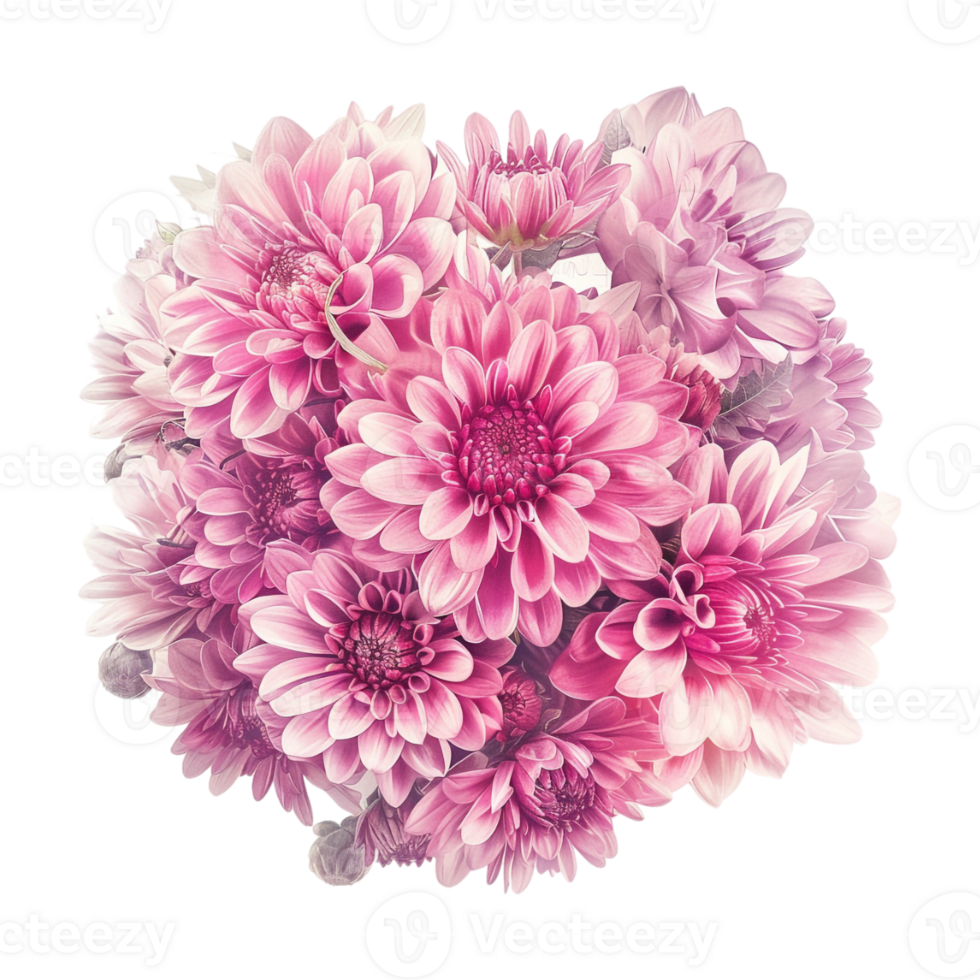 Colorful Flower Bokeh on Transparent Background png
