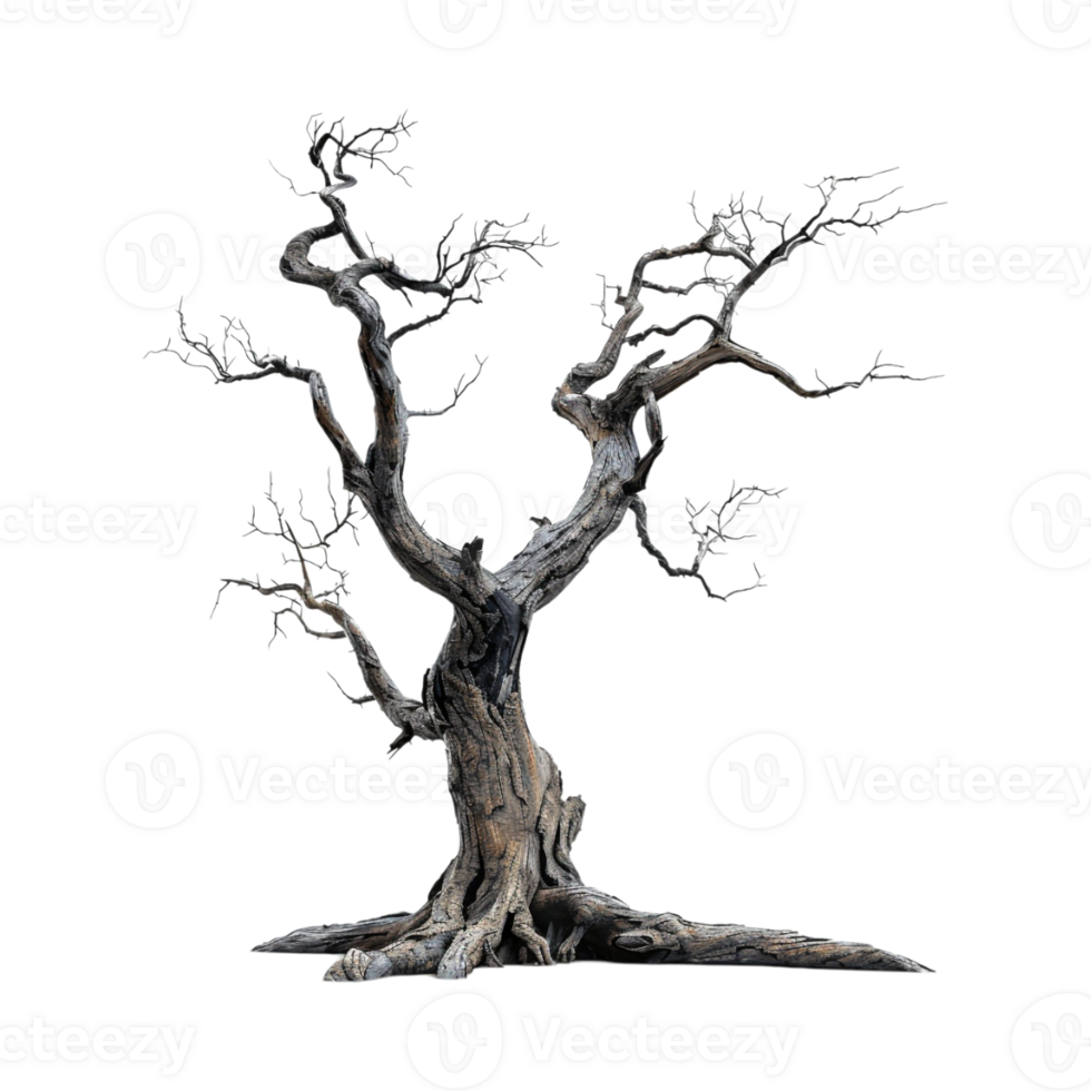 Autumn Tree Without Leaves on Transparent Background png