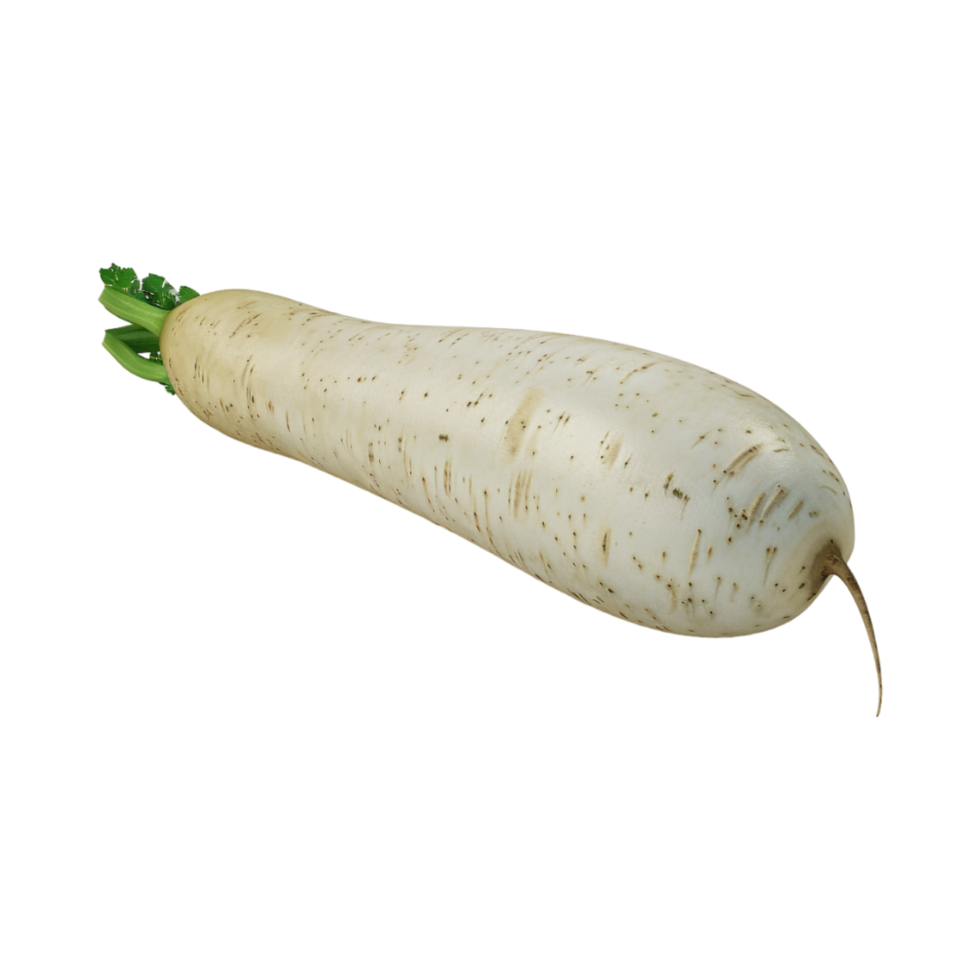 White Radish on Transparent Background png