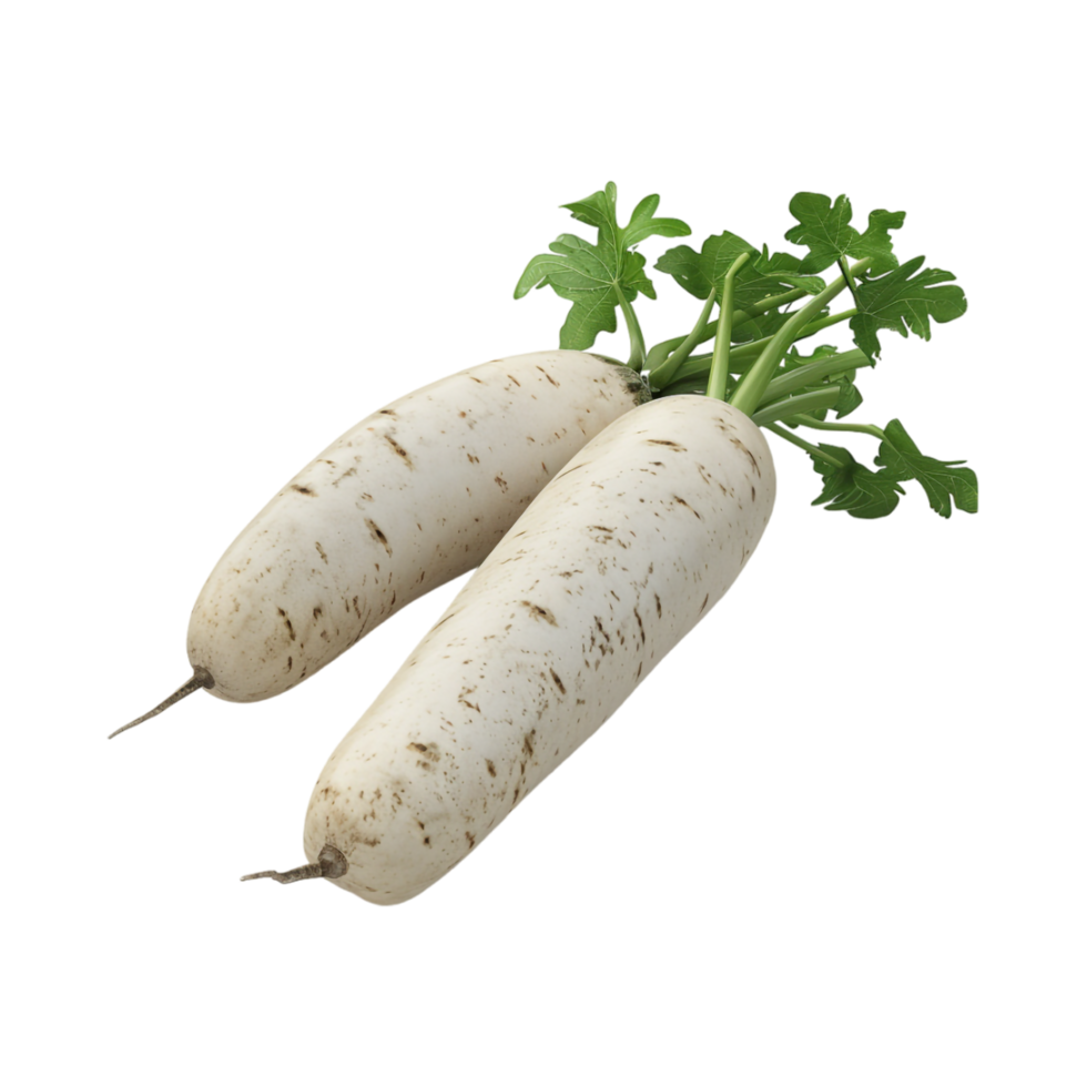 White Radish on Transparent Background png