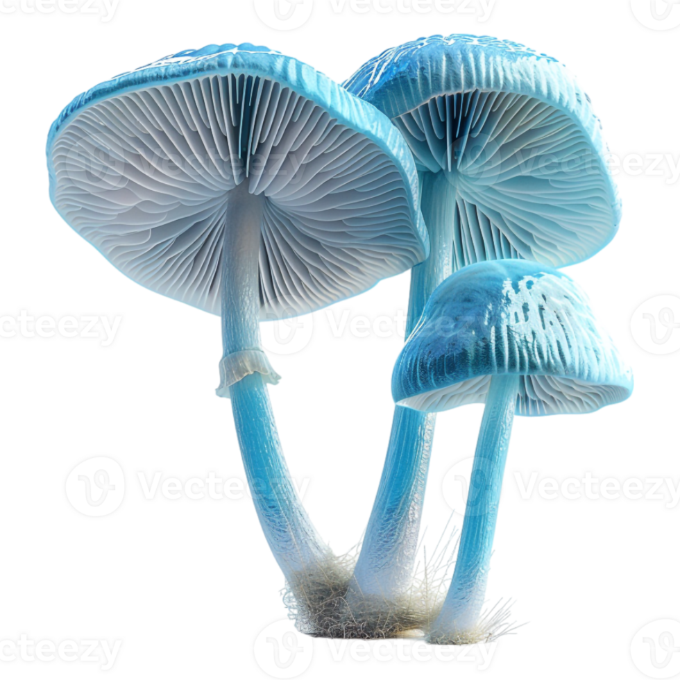 Cyan Mushroom on Transparent Background png