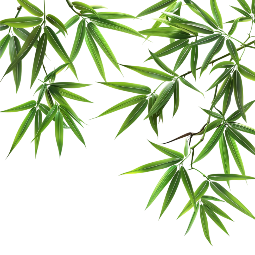 buio verde le foglie di bambù su trasparente sfondo png