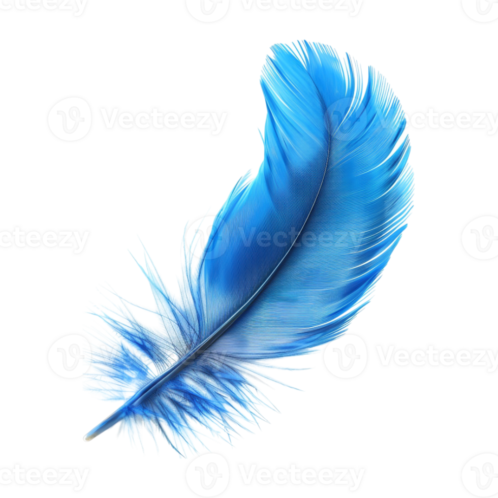 Blue Fur Leaf on Transparent Background png