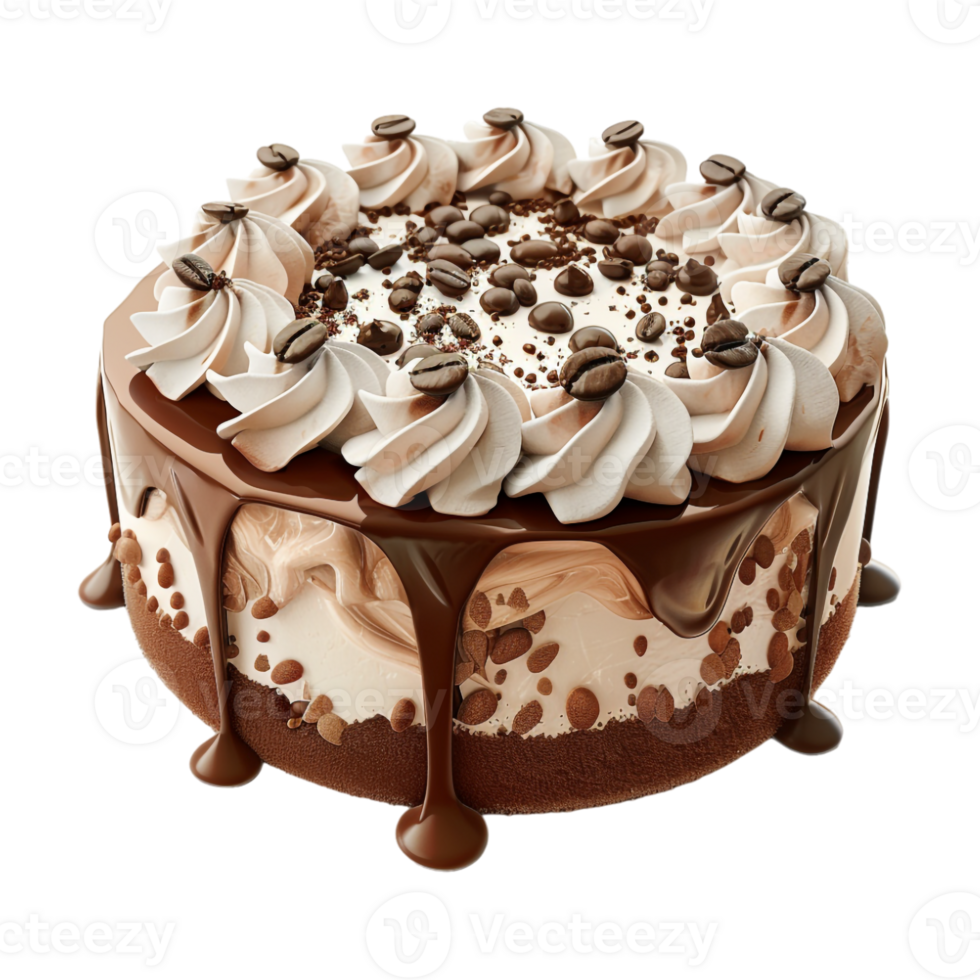 Chocolate Cake on Transparent Background png