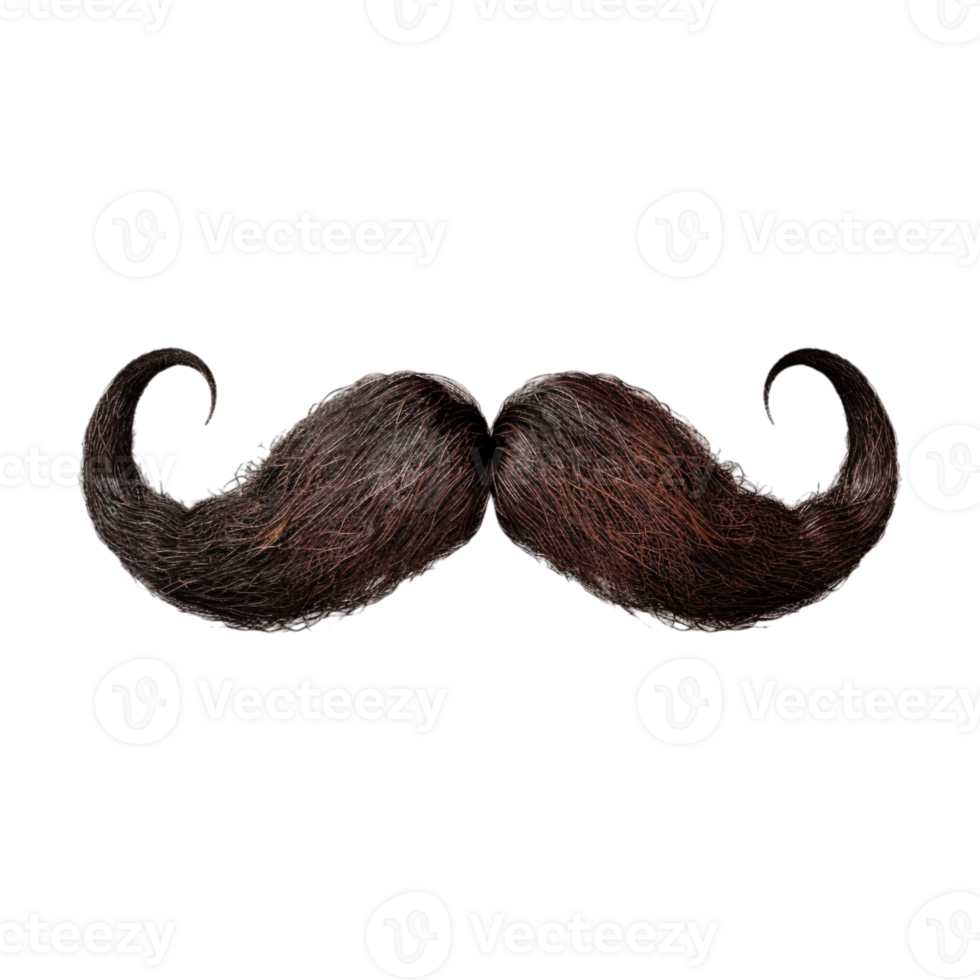 Mustachio on Transparent Background png